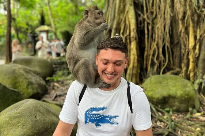 Ubud Full Day - Monkey Forest, Rice Terrace and Waterfalls Tour - Private Ubud pickup from Seminyak: how the day stays easy