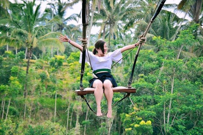 Ubud Full Day Tour Waterfall Monkey Forest Rice Terrace - The Real Value: An English Driver Who Guides the Flow