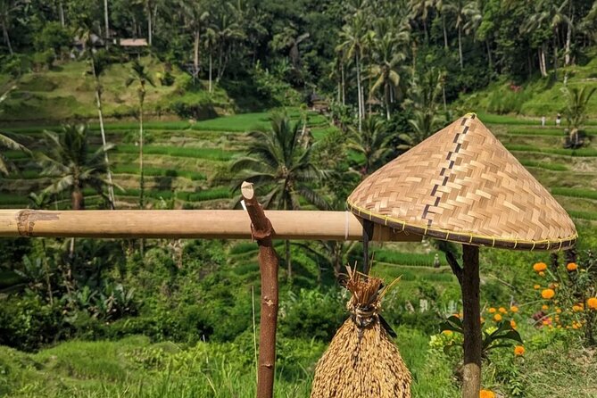 Ubud Half Day Zipline and Jungle Swing - A Half-Day Ubud Combo: Rice Terraces, Swing Photos, and Quick Adrenaline