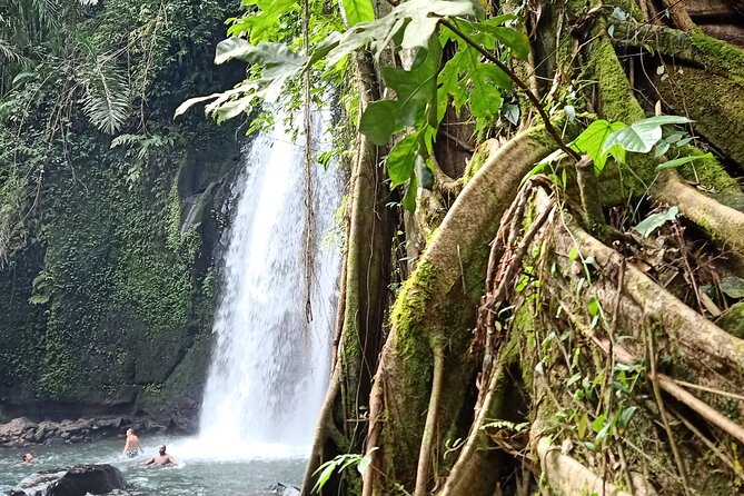 Ubud Half Day Zipline and Jungle Swing - The 13-Meter Jungle Swing: Big Height, Clear Safety Setup