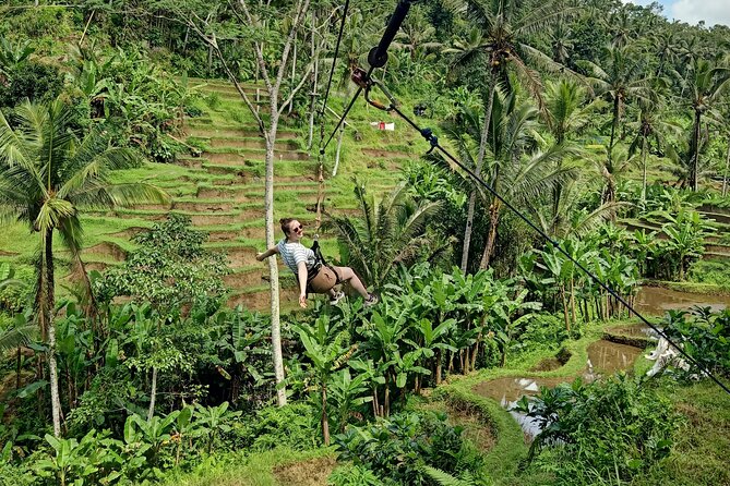Ubud Half Day Zipline and Jungle Swing - Zipline Over Rice Fields: Short Runs, Real Fun