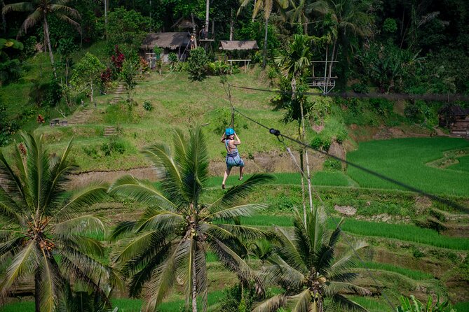 Ubud Half Day Zipline and Jungle Swing - Price and Logistics: What You’re Paying For at $69.80