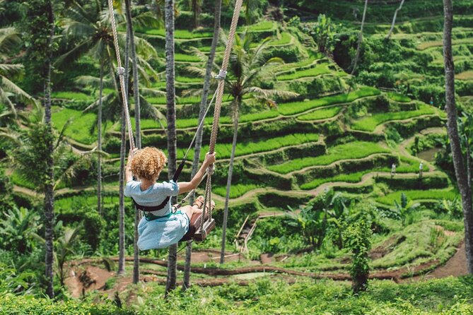 Ubud Hidden Gems Private Tour with Local Expert & Hotel Pickup - Happy Swing Bali: jungle views and how the package choice changes things