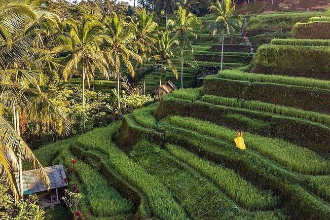 Ubud Hidden Waterfalls and Rice Terrace Tours - Tegalalang Rice Terraces: Walk the Paddies, Learn the Irrigation