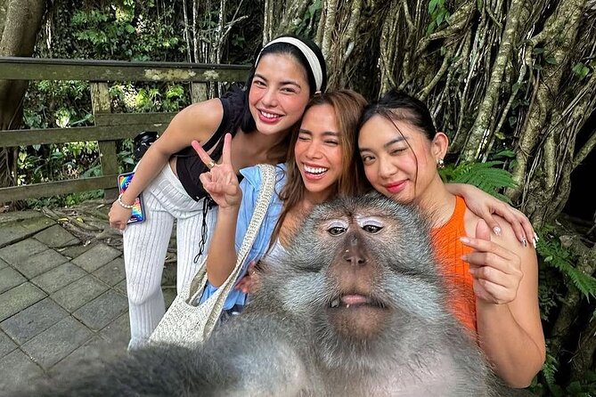 Ubud Highlight: Best of Ubud Private Day Tour with Local Guide - Price and value: why $25 can be a good deal (if it fits your group)