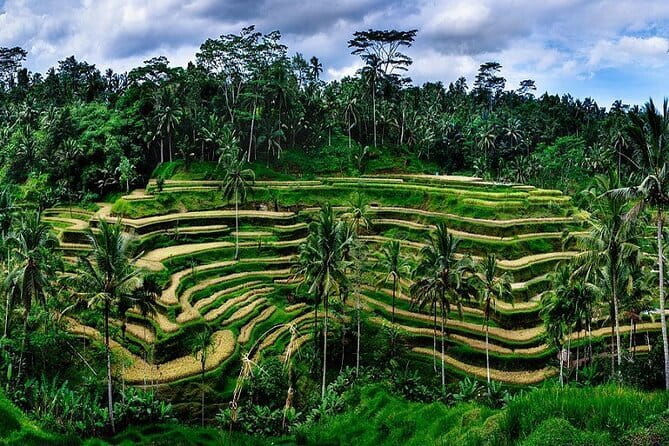 Ubud Highlight Private Charter with Jungle Swing - Temple time in Ubud: Sacred Monkey Forest Sanctuary