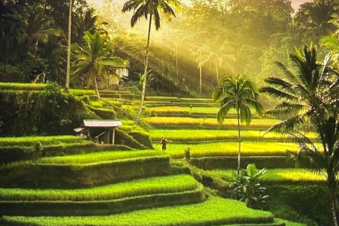 Ubud Highlight Rice Terrace,Waterfall,Temple and Art village - Key highlights you should care about