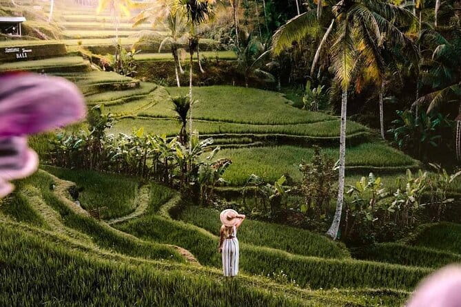 Ubud Highlights -Private Tour,Temples, Waterfalls & Rice terraces - Quick hits before you go