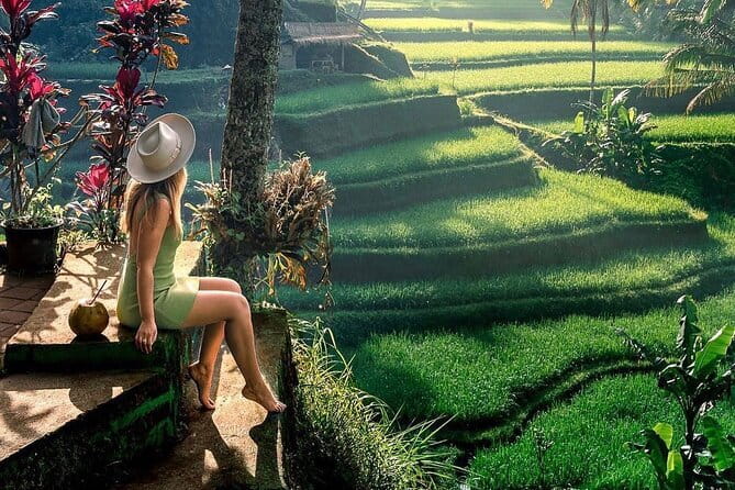 Ubud Highlights -Private Tour,Temples, Waterfalls & Rice terraces - Ubud in One Day: rice terraces, temples, and a real waterfall