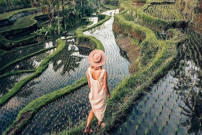 Ubud Highlights -Private Tour,Temples, Waterfalls & Rice terraces - Private air-conditioned car: why the pacing feels sane