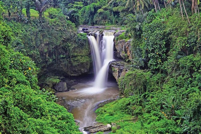 Ubud Highlights Rice Terraces, Temple, Waterfall & Monkeys forest - Tirta Empul and Melukat purification: what to expect at the holy water temple