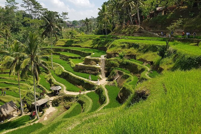 Ubud Highlights Rice Terraces, Temple, Waterfall & Monkeys forest - Satria Agrowisata Coffee Plantation: Traditional Making and Tasting Time