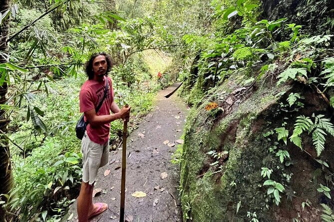 Ubud Highlights Shared Tour – Small Group Full-Day Experience - Morning in Tegalalang Rice Terrace: timing, walking, and what to look for