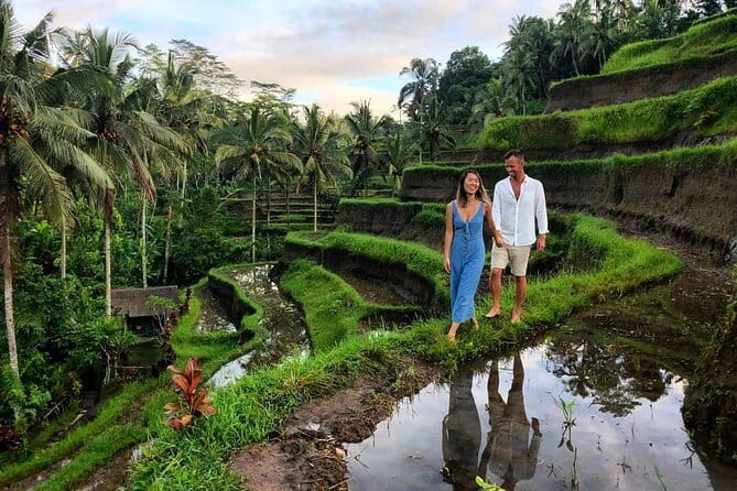 Ubud Highlights Tour ( Private All-Inclusive ) - Sacred Monkey Forest Sanctuary: A Big Highlight With a Clear Budget Note