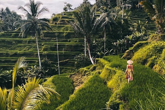 Ubud Higlights Full Day Tour - Private Tour Experience - Tegalalang Rice Terrace and Tri Hita Karana Explained in Plain Terms
