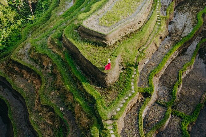 UBUD Instagram Spot Tour with Photographer - (Promised) Final Photoshoot: Alas Harum Jungle Scenes