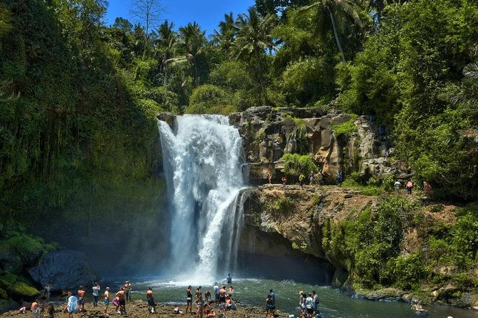 Ubud Instagram: Waterfall Tours - Tibumana: palms, calm water, and an easier pace