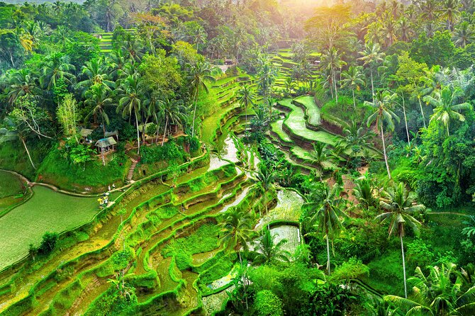 Ubud Jungle Adventure: Tirta Empul & Bali Swing - Key things worth knowing before you go