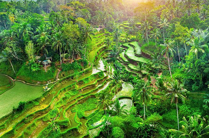 Ubud Jungle Adventure: Tirta Empul & Bali Swing - Tirta Empul Temple: the purification ritual brings the day back down