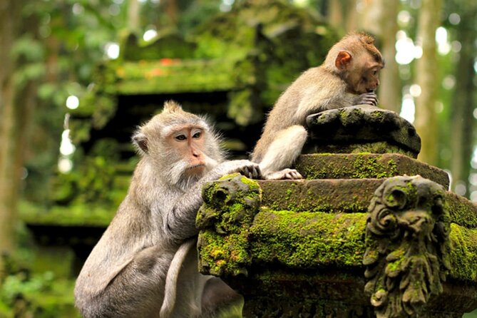 Ubud Jungle Adventure: Tirta Empul & Bali Swing - How long is the day, and where it can feel tight