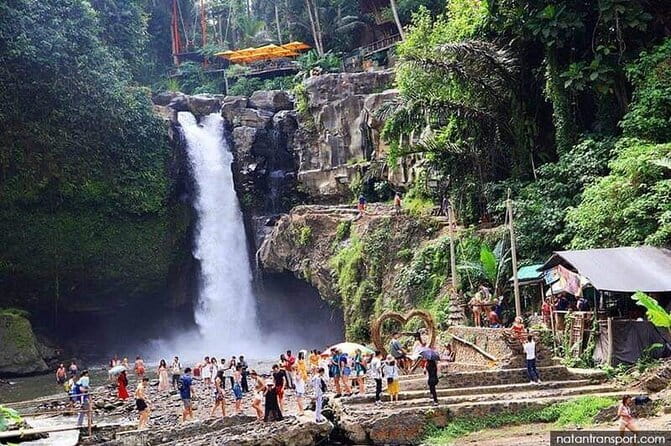 Ubud Jungle Cart Adventure + Volcano view Tour. - Stop 4: OKA Agriculture Bali coffee tasting (free samples, real variety)