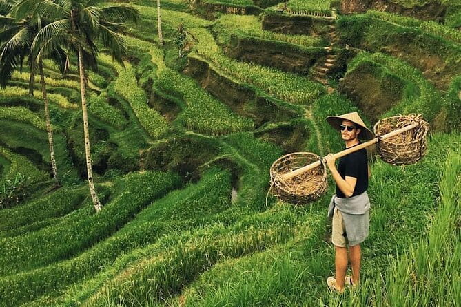 Ubud Jungle Swing - Monkey Forest - Water Temple - Waterfall - Key highlights worth booking for