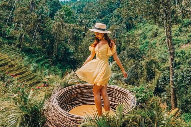 Ubud Jungle Swing - Monkey Forest - Water Temple - Waterfall - A Smooth Ubud Route: Monkey Forest, Rice Terrace Swing, Tirta Empul, Tegenungan