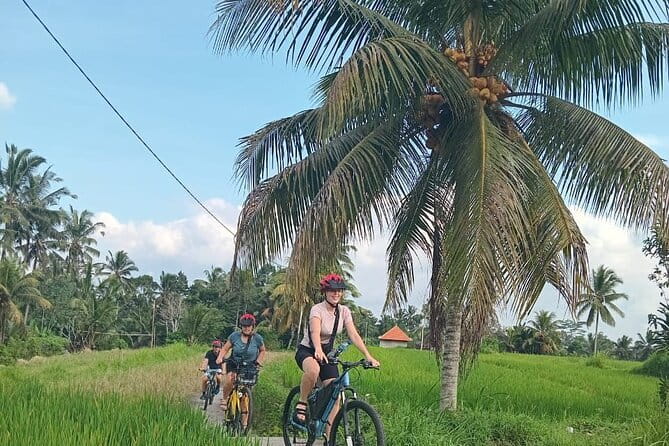 Ubud : Kintamani Downhill Cycling Tour with Lunch - How the 6-hour schedule flows without feeling rushed