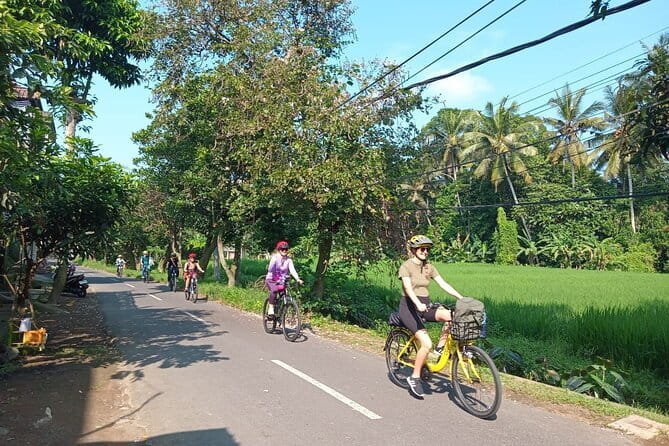 Ubud : Kintamani Downhill Cycling Tour with Lunch - Pickup, drop-off, and timing: plan your day around Tampaksiring