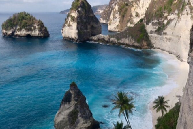 Ubud Kintamani Tour - Private-Guide Comfort: Transfers, Entrance Fees, and Lunch Handling
