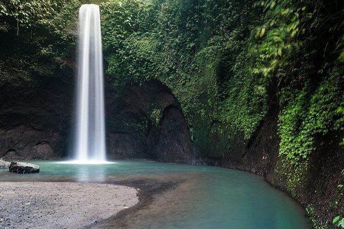 Ubud Monkey Forest, Holy Water Temple & Waterfalls Tours - Transfers, Tickets, and the Real Value of $33.25