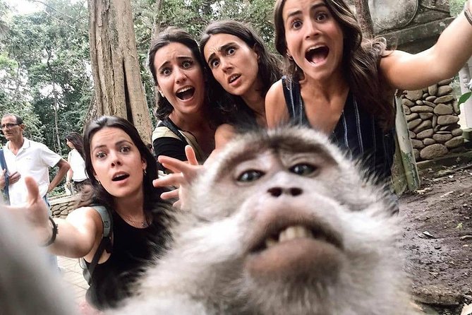 Ubud Monkey Forest, Holy Water Temple & Waterfalls Tours - Who This Private Ubud Day Works Best For