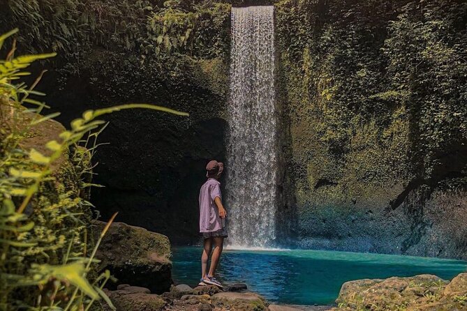 Ubud Monkey Forest, Holy Water Temple & Waterfalls Tours - Tegalalang Rice Terrace: Learning the Irrigation Story Behind the Views
