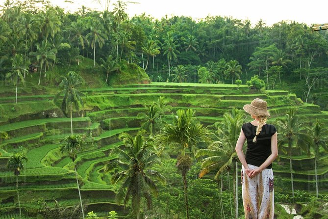Ubud: Monkey Forest, Jungle Swing, Rice Terrace, and Water Temple - Ubud Monkey Forest, Jungle Swing, Rice Terrace, and Tirta Empul: the value of one packed day