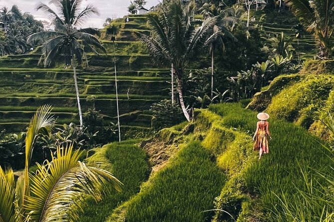 Ubud Monkey Forest, Rice Terrace & Tirta Empul Temple Tour - Key highlights worth your attention
