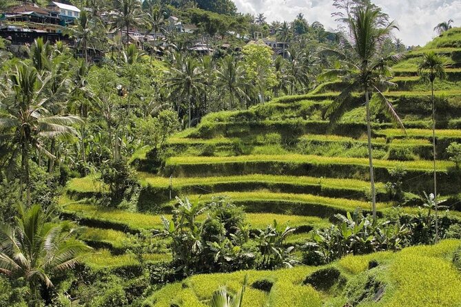 Ubud Monkey Forest, Rice Terrace & Tirta Empul Temple Tour - How the day flows: a 10-hour Ubud hit list