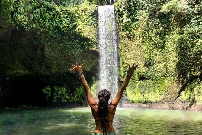 Ubud Monkey Forest, Rice Terrace & Tirta Empul Temple Tour - Guide quality in the real world: Mangkok’s impact