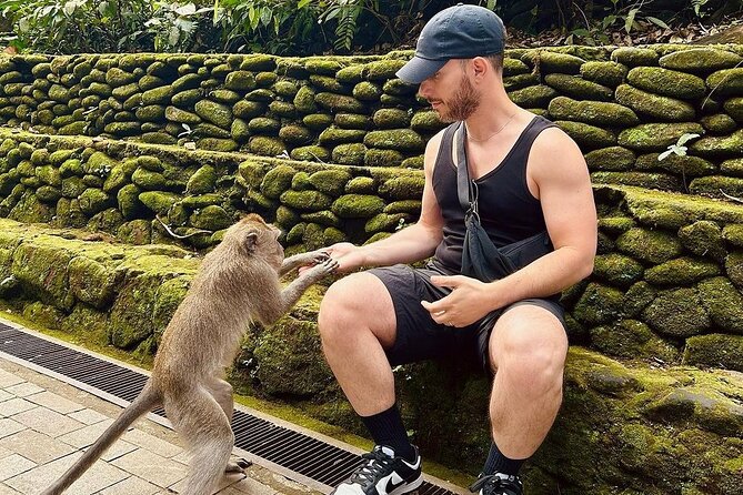 Ubud Monkey Forest, Rice Terrace & Tirta Empul Temple Tour - Tegalalang rice terraces: panoramic views and the swing option