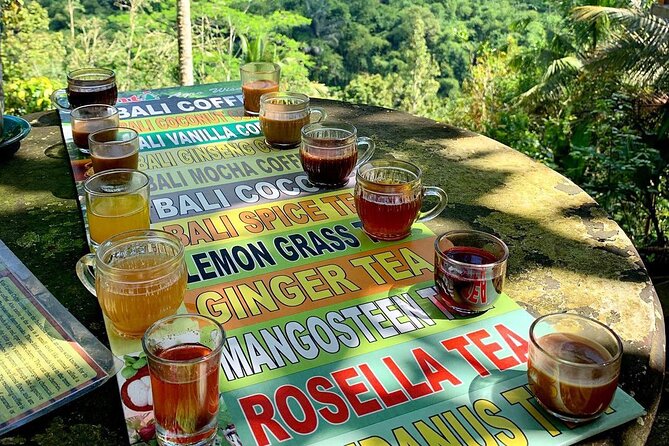 Ubud : Monkey Forest, Rice Terrace, Waterfall, Swing - Ubud Jungle Swing: The One Stop That’s All About Extra Costs