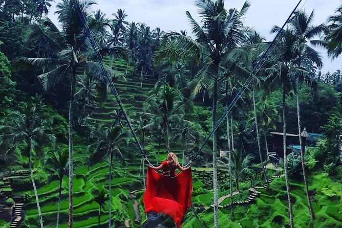 Ubud : Monkey Forest, Rice Terrace, Waterfall, Swing - Monkey Forest in Padangtegal: Monkeys, Temples, and Real-World Rules