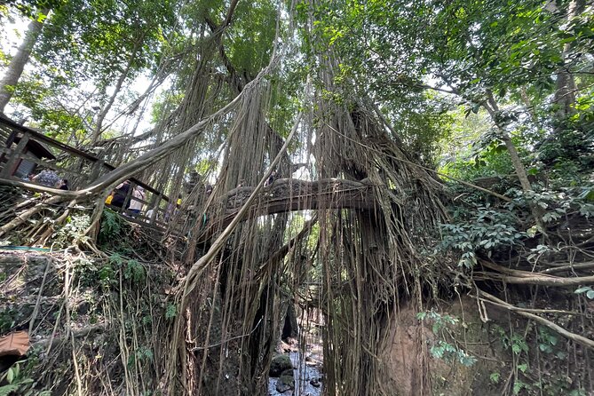 Ubud Monkey Forest Sanctuary Entrance Ticket All Inclusive - Walking Shoes and Monkey Manners: Staying Comfortable and Safe