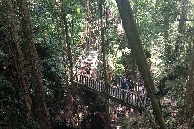 Ubud Monkey Forest Sanctuary Entrance Ticket All Inclusive - Value and Price: Does $36.67 Add Up?