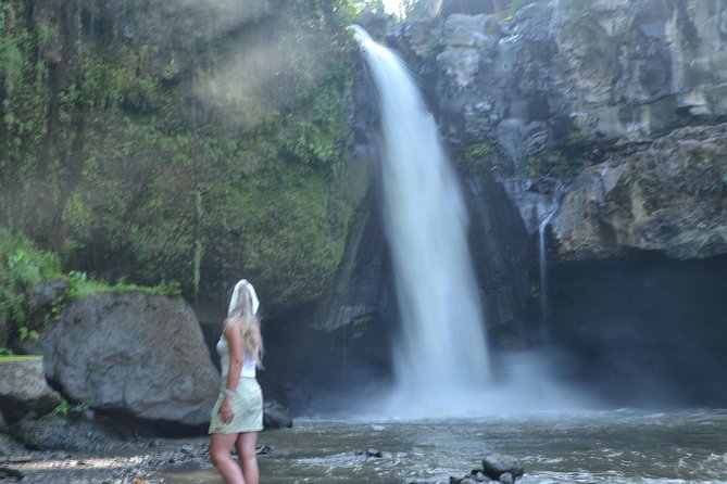 Ubud Monkey Forest Sanctuary Tours and Cretya - Price and value: is $73 per person a good deal?
