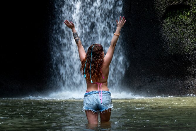 Ubud Monkey Forest, Scenic Rice Terrace with Swing and Waterfall - Key highlights that make this day work