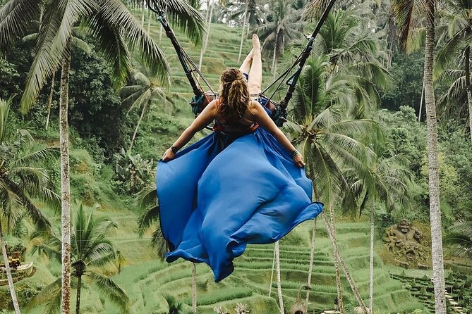 Ubud Monkey Forest, Scenic Rice Terrace with Swing and Waterfall - What you’re really buying for $24.65
