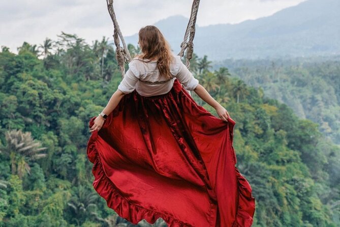 Ubud Monkey Forest, Scenic Rice Terrace with Swing and Waterfall - Stop 2: Tegalalang Rice Terrace and the rice-view reality check