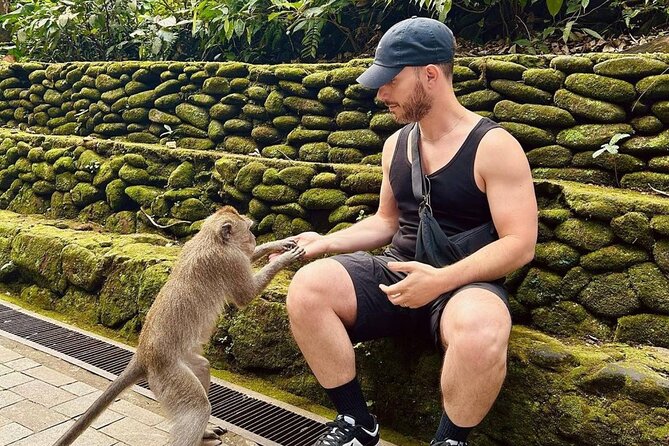 Ubud Monkey Forest, Scenic Rice Terrace with Swing and Waterfall - Stop 3: Happy Swing Bali and what might cost extra