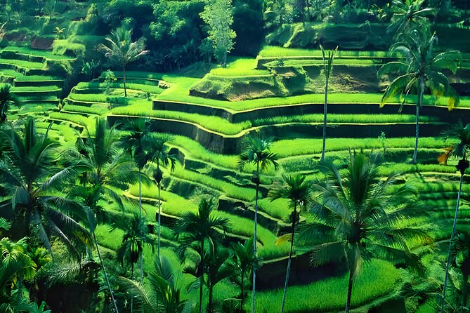 Ubud Night Half Day Trip with Legong Dance Performance - Getting picked up in Seminyak (and beyond) without chaos