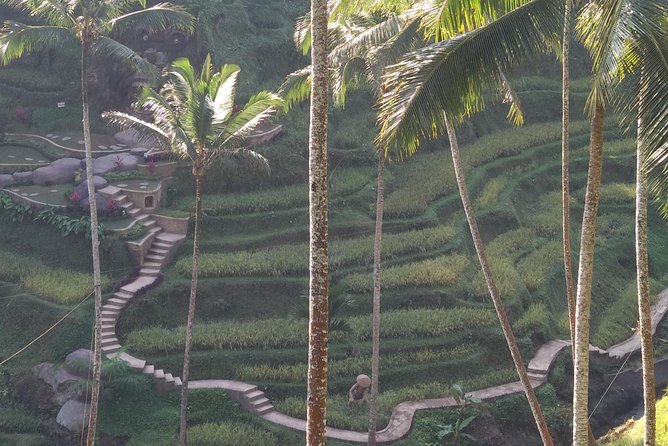 Ubud Private & Customize Day Tour - A 6:00 AM Ubud Day That Doesn’t Feel Like a Checklist