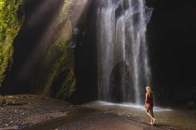 Ubud: Private Customized Highlights Tour - Tirta Empul and other purification temples: where the meaning shows